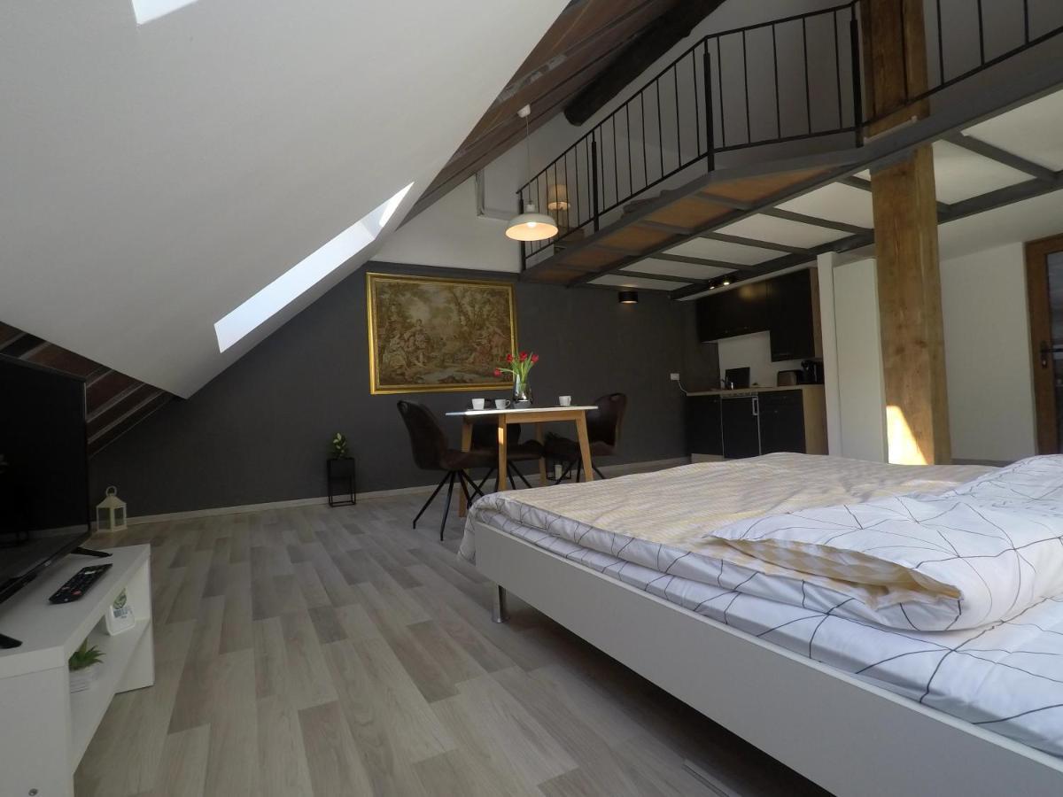Savoya Nr2 Loft Studio Old City Center Self Check-In Workspace ティミショアラ エクステリア 写真