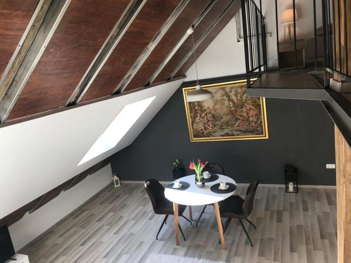 Savoya Nr2 Loft Studio Old City Center Self Check-In Workspace ティミショアラ エクステリア 写真