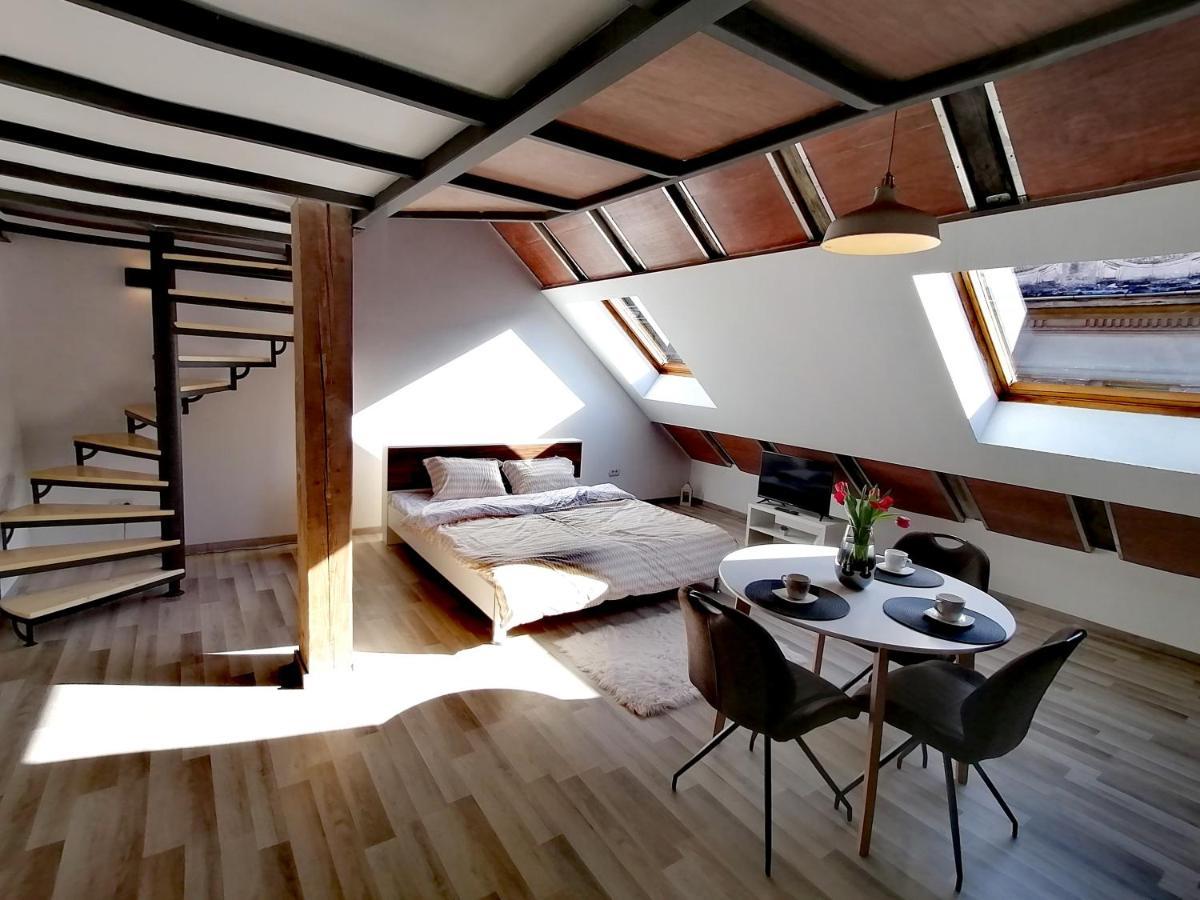 Savoya Nr2 Loft Studio Old City Center Self Check-In Workspace ティミショアラ エクステリア 写真