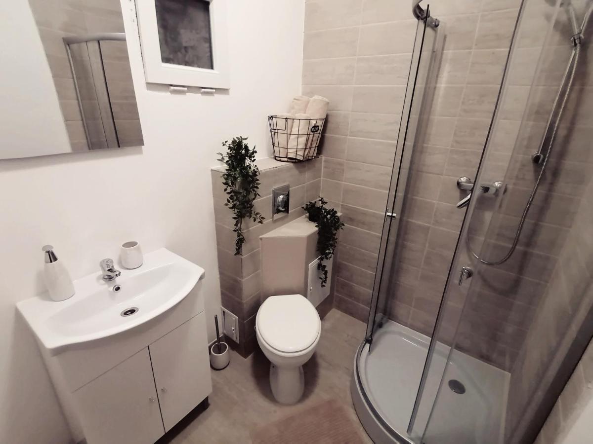 Savoya Nr2 Loft Studio Old City Center Self Check-In Workspace ティミショアラ エクステリア 写真