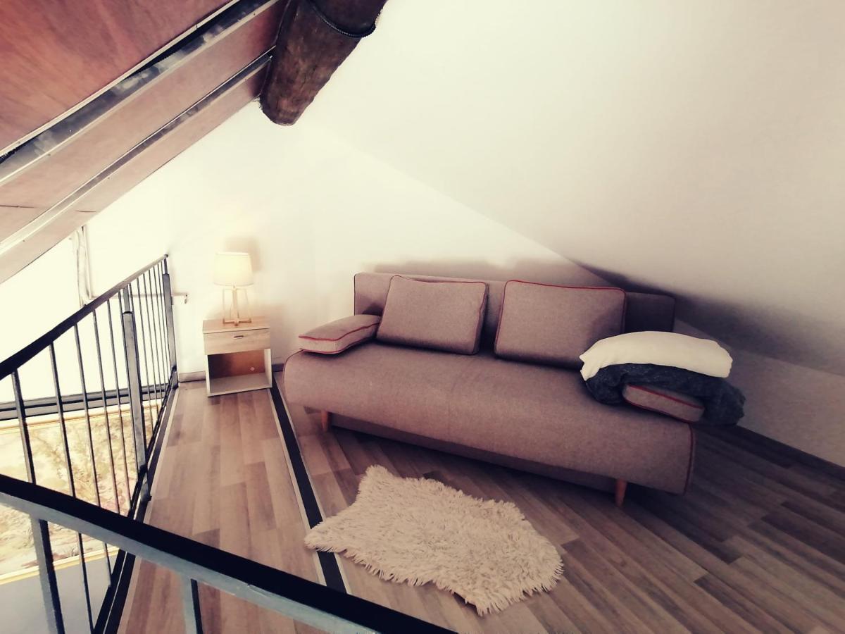 Savoya Nr2 Loft Studio Old City Center Self Check-In Workspace ティミショアラ エクステリア 写真