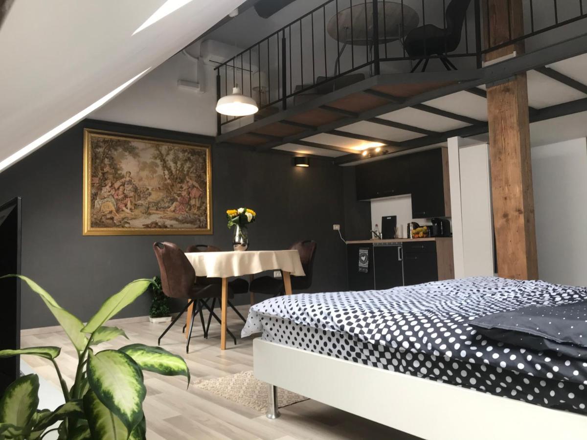 Savoya Nr2 Loft Studio Old City Center Self Check-In Workspace ティミショアラ エクステリア 写真