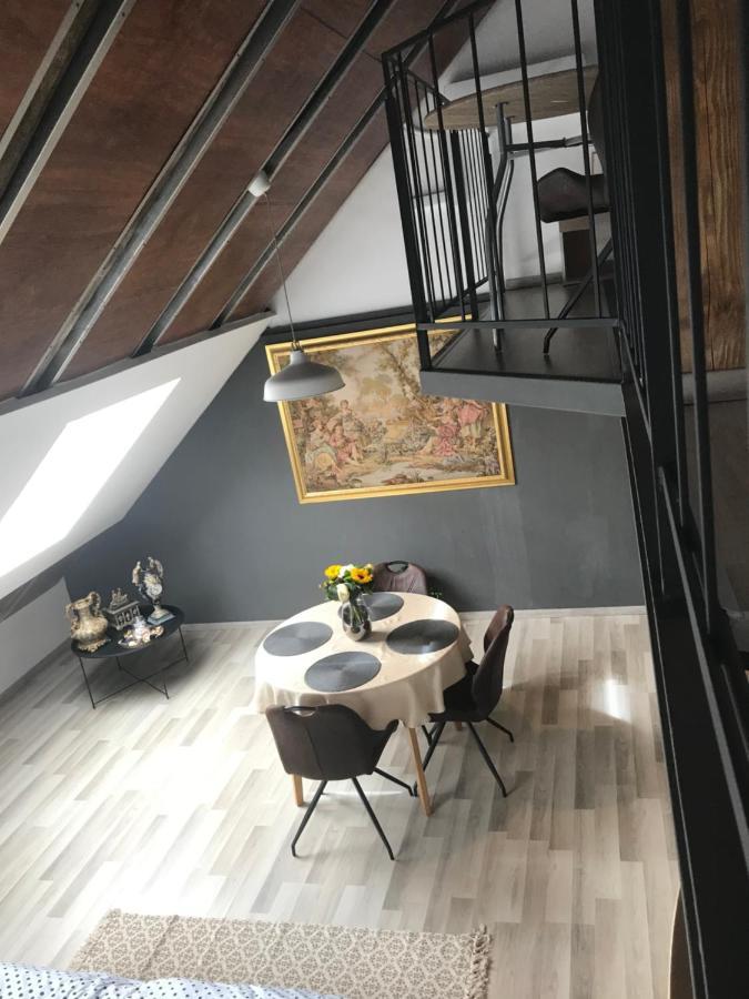 Savoya Nr2 Loft Studio Old City Center Self Check-In Workspace ティミショアラ エクステリア 写真