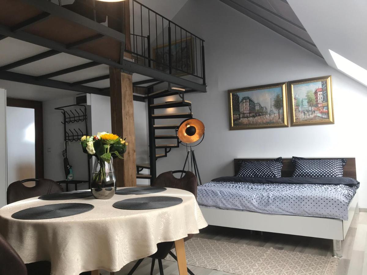Savoya Nr2 Loft Studio Old City Center Self Check-In Workspace ティミショアラ エクステリア 写真